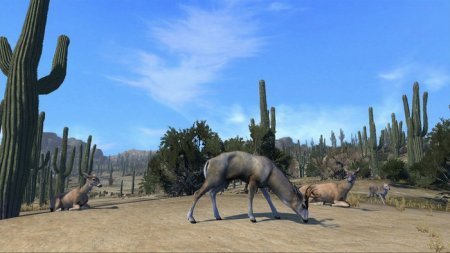 Cabela's Big Game Hunter: Pro Hunts (2014)